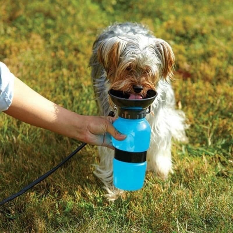 Aqua Dog – Specijalna čaša za pse - Brzishop